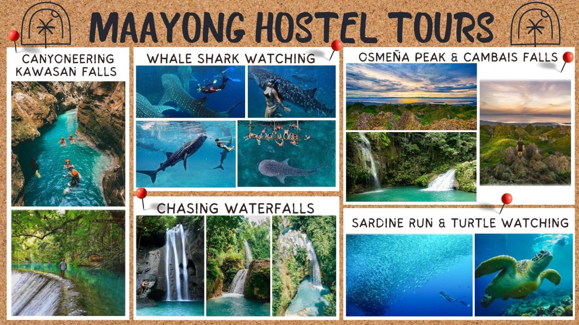 Maayong Hostel (Adults Only) Моалбоал Экстерьер фото